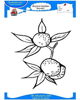 Çocuklar İçin Mandalina Boyama Sayfaları 